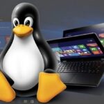 Linux Gaming