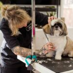 Pet Groomer